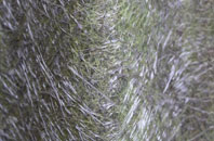 Cefn Berain fibreglass roof work